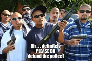 defund the police, crime and gangs take over